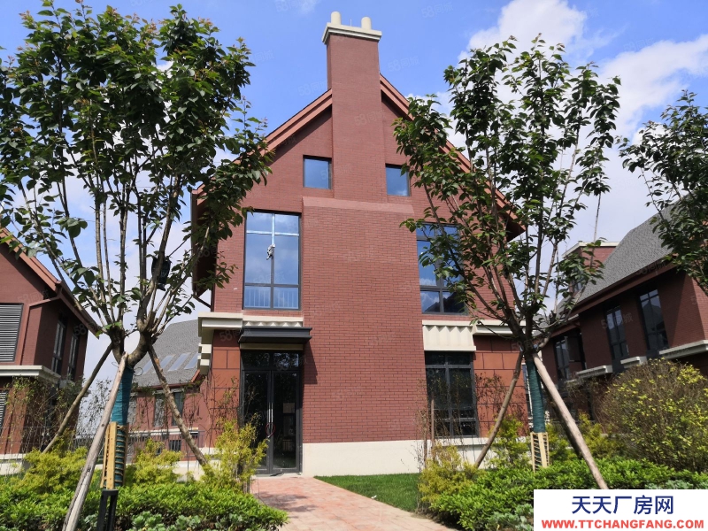 (出租) 成都錦江 獨幢別墅創(chuàng)意樓出租