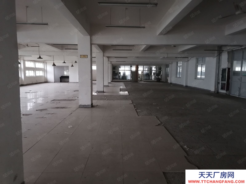 寧波北侖(出租) 新契正規(guī)搬廠公司，行業(yè)前三，價格實惠，大型吊車，人員齊備