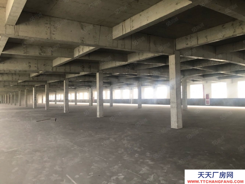 寧波鎮海(出租) 鎮海蛟川1000平方,高10米,5噸行車,30元