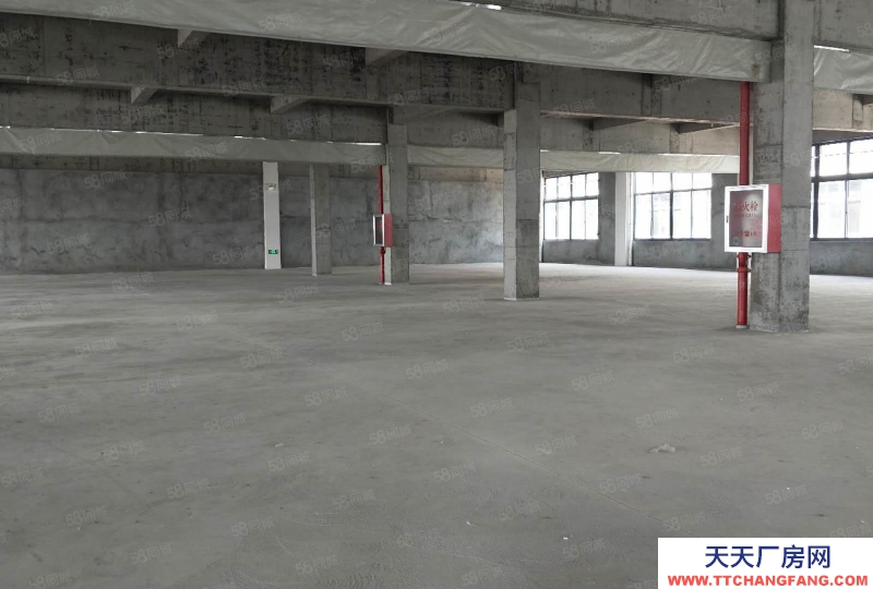 寧波鎮(zhèn)海(出售) 鎮(zhèn)海駱駝工業(yè)區(qū)6畝4000平3000萬(wàn)