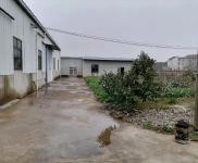 (出租) 黃岡武穴單門獨院，占地面積4畝，內空地有果樹萊園，生活設施齊全。