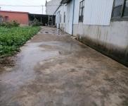 (出租) 黃岡武穴單門獨院，占地面積4畝，內(nèi)空地有果樹萊園，生活設施齊全。