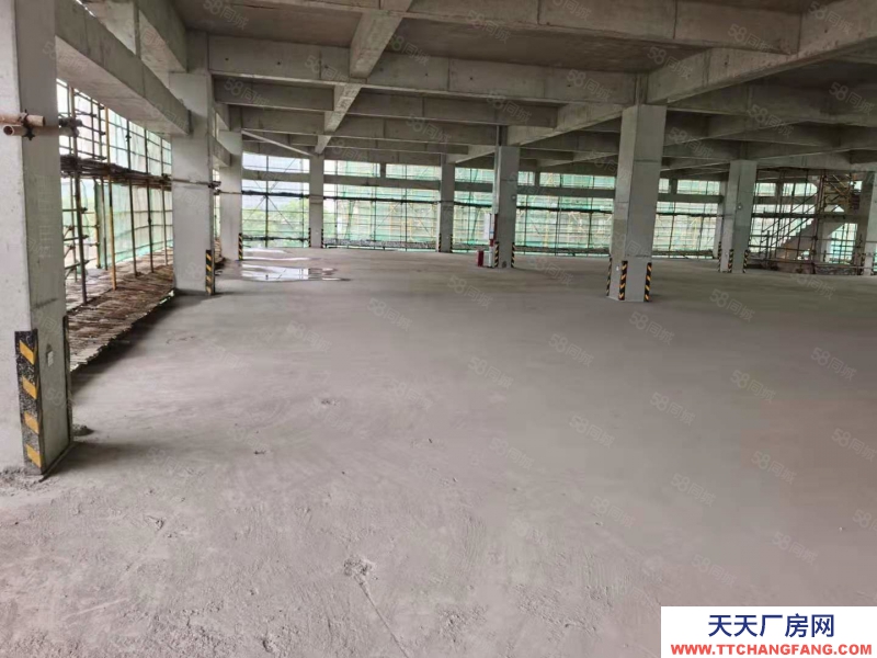 寧波鎮海(出售) 綠城全新獨棟廠房出售