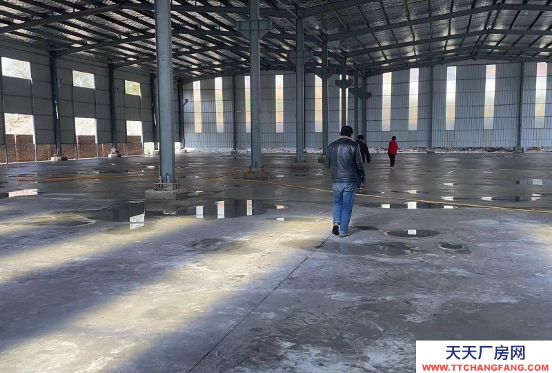 (出租)西安周至 新建成單層鋼結構