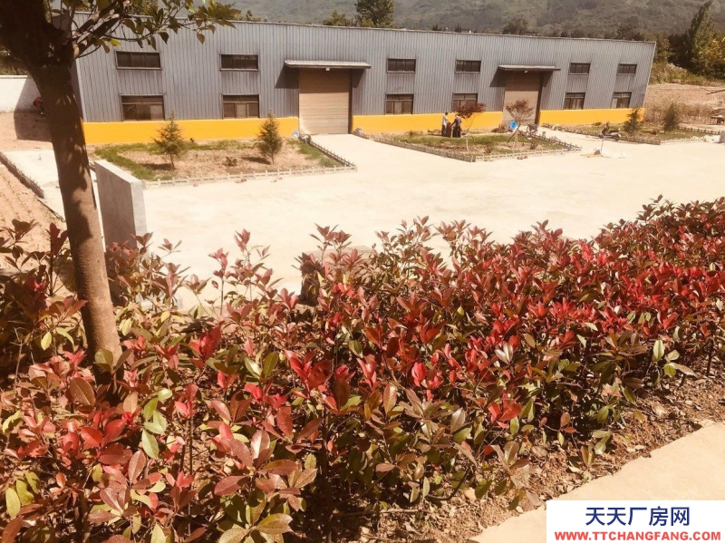 (出租) 西安周至 房東直租標準新廠房