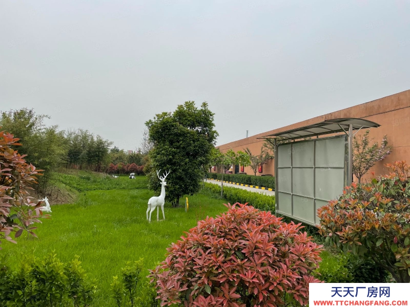 (出租) 西安周至高新集賢產業園3000平方米工業廠房出租可分租有環評