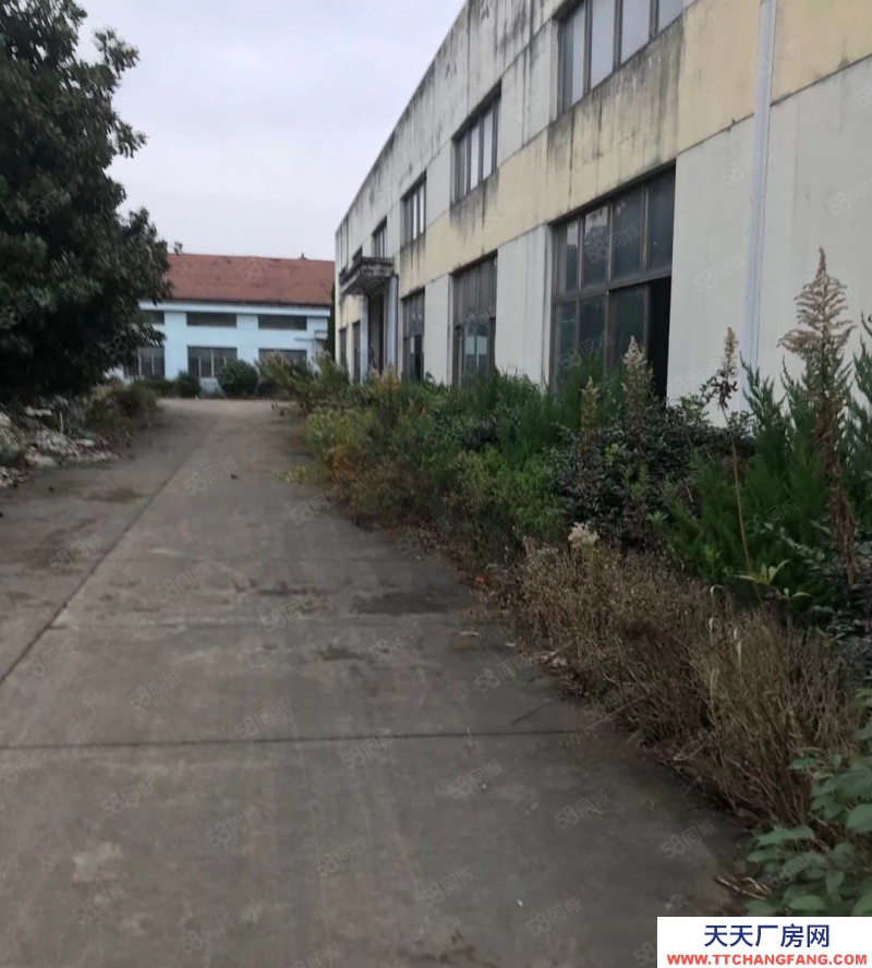 寧波象山(出租) 象山西周鎮獨棟廠房出租2000平，高5米，位置好