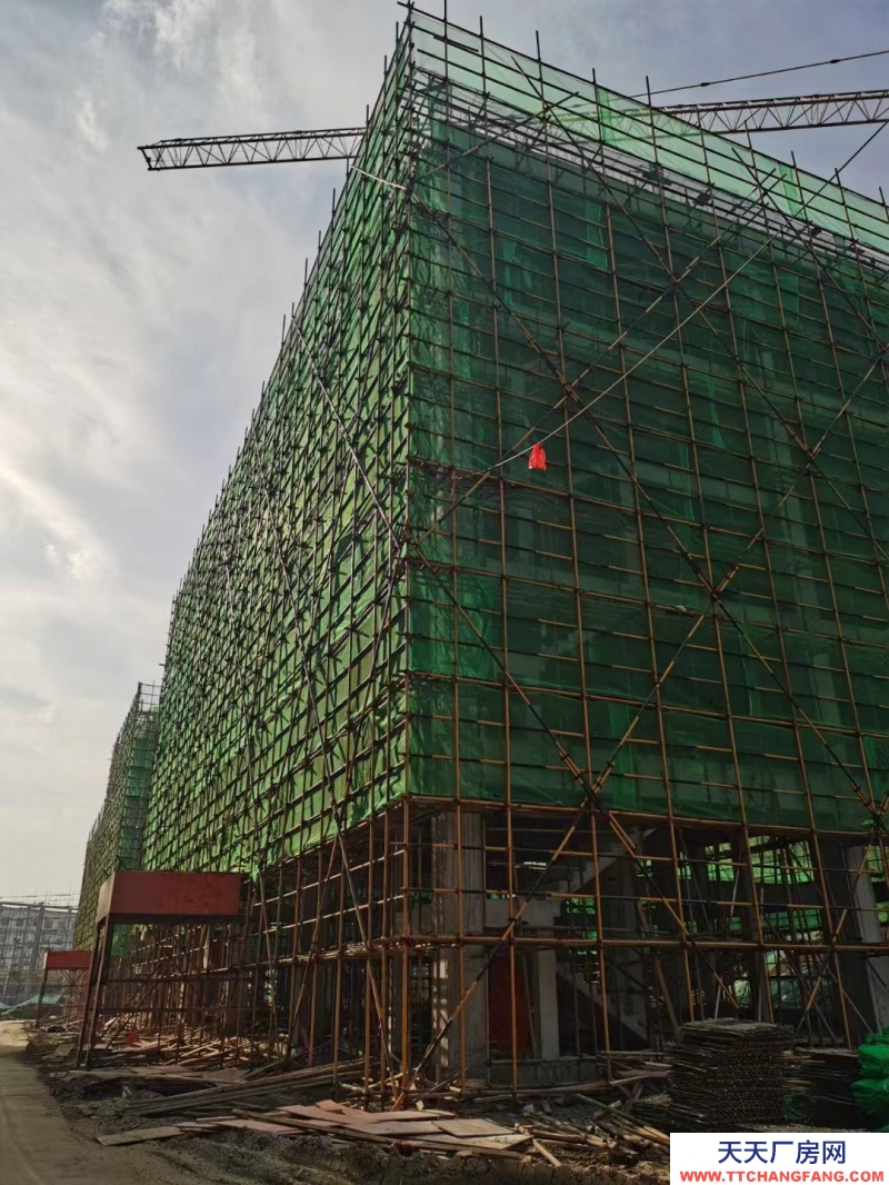 天寧稀缺戶型廠房，一樓層高12米，可十噸行車