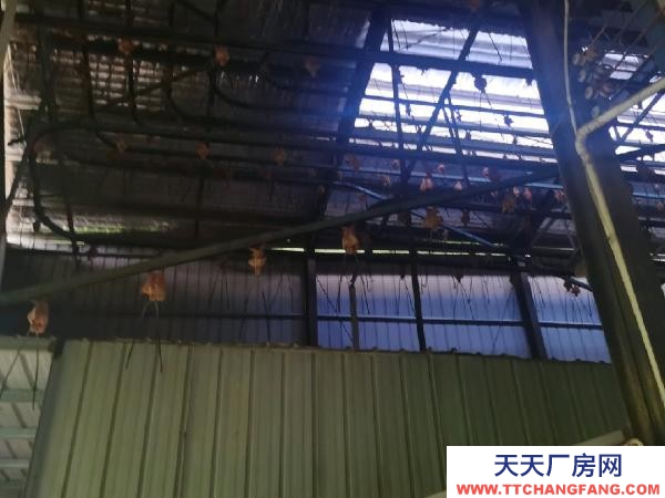 衡陽市衡山縣  廠房內有大型噴漆房，工廠廠棚，倉庫，木工機械