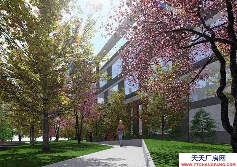 寧波象山(出售) 象山城區(qū)邊16畝10000平多層位置好2650萬(wàn)