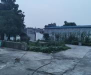 (出租) 東坡  原為食品廠，食品廠優先考慮。