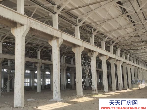 無錫錫山區單層廠房出租 層高12米12米層高