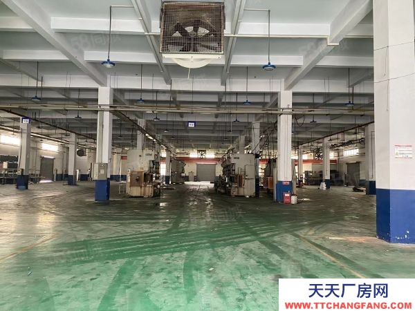 無錫錫山區亭廠房出租倉庫租賃，多棟多層可整租可分租500平方