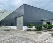 (出租) 彭山1500平方米全新標準廠房房東對外直租，無中介。