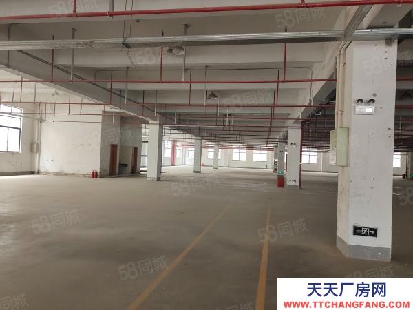 無錫錫山區(qū) 鵝湖工業(yè)區(qū) 新廠房出租，三層12000平，可分租價(jià)格便宜