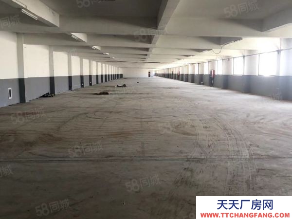 無錫錫山區東港 獨門獨院標準廠房4000，層高5米帶辦公室宿舍以及食堂