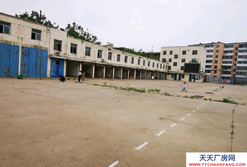 (出租) 多間廠房占地面積大可做二手車等