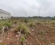 (出租) 眉山仁壽廠房倉庫空地個(gè)人直租帶辦公室宿舍