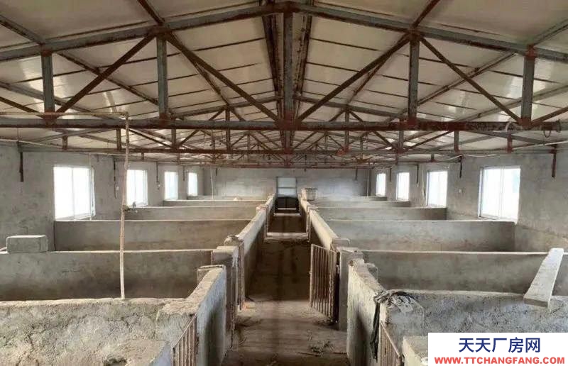 濟寧微山養豬場養殖場廠房出售轉讓出租