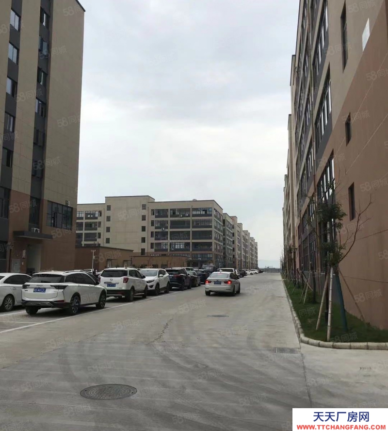 寧波寧海(出售) 全新標準廠房，支持按揭