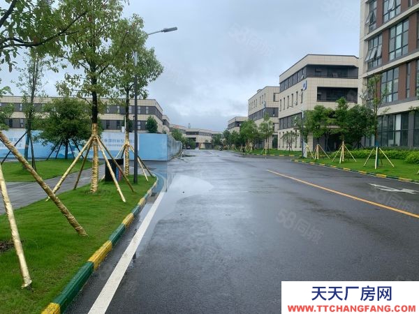 湘潭市岳塘區(qū) 免中介費，全新廠房，贈送電梯，性價比高
