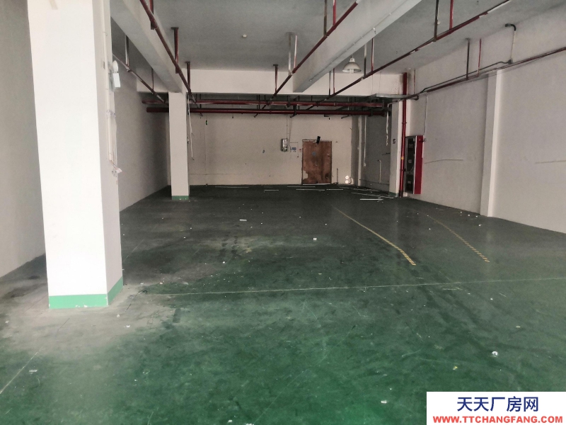 服裝廠房出租童裝行業湖州織里650平米配套好有宿舍食堂超市