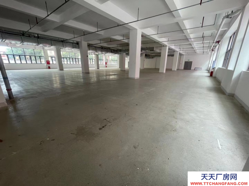 獨(dú)棟框架結(jié)構(gòu)，首層層高8米，可安裝行車，新廠房