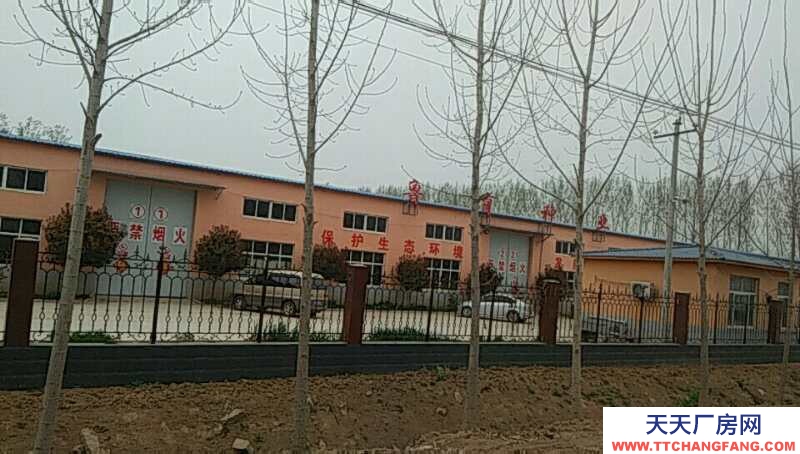 濟寧嘉祥梁寶寺桐莊整院10畝