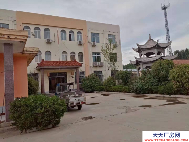 濟寧嘉祥梁寶寺桐莊 整院20畝