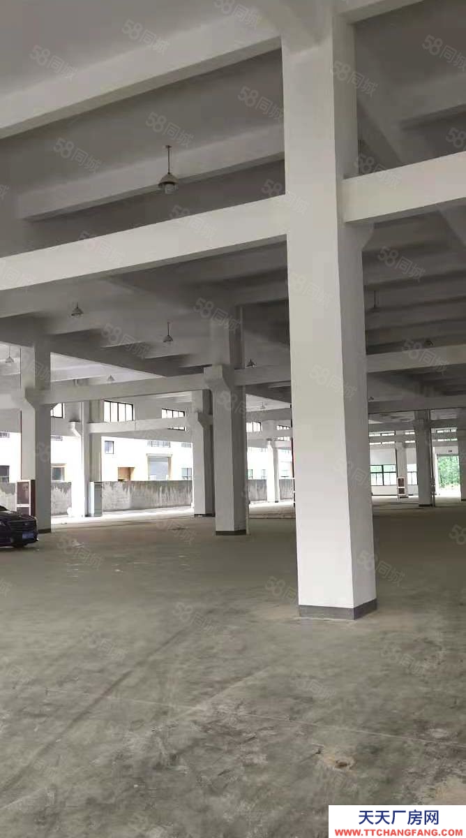 寧波余姚(出售) 上虞五夫6畝廠房3000平租金50多萬售價1200萬獨院