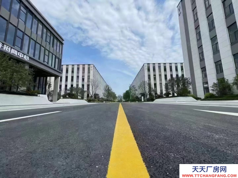 廊坊 大廠 獨棟雙拼 產業載體 電子 商貿 影視設備