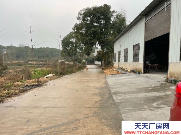 湘潭市雨湖區 錳礦方向，響水鄉全新獨立廠房出租