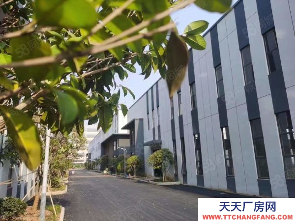 湘潭市雨湖區 園區獨棟廠房出售！50年獨立產權！非中介