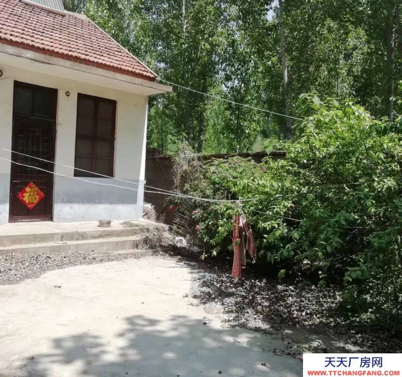 濟寧泗水原縣食品站大院出售，面積約1600平米，水電網設施齊全