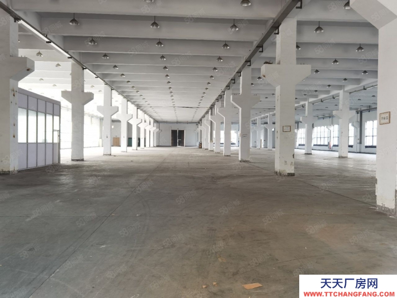 寧波慈溪(出售) 龍山17畝6000平方8米單層4200萬