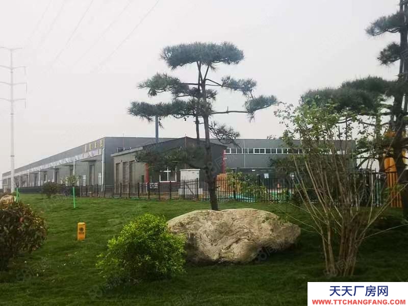 (出租) 咸陽興平咸興大道6000平層高8米廠房，水電蒸汽齊全！