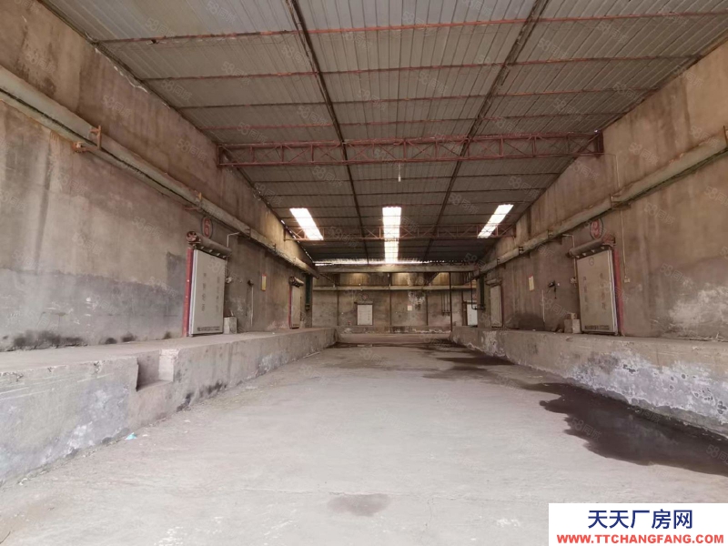 (出租) 咸陽禮泉縣5000平廠房可改造 可做有噪音和污染行業