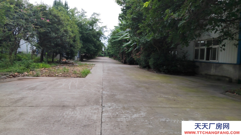 成都市崇州經濟開發(fā)區(qū)34畝雙證重鋼結構廠房出售可貸款