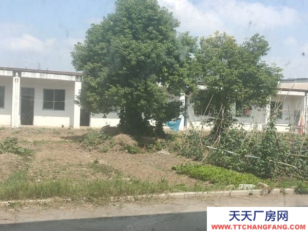 常州金壇原房東，獨門獨院，3300平，單層火車頭廠房，120元