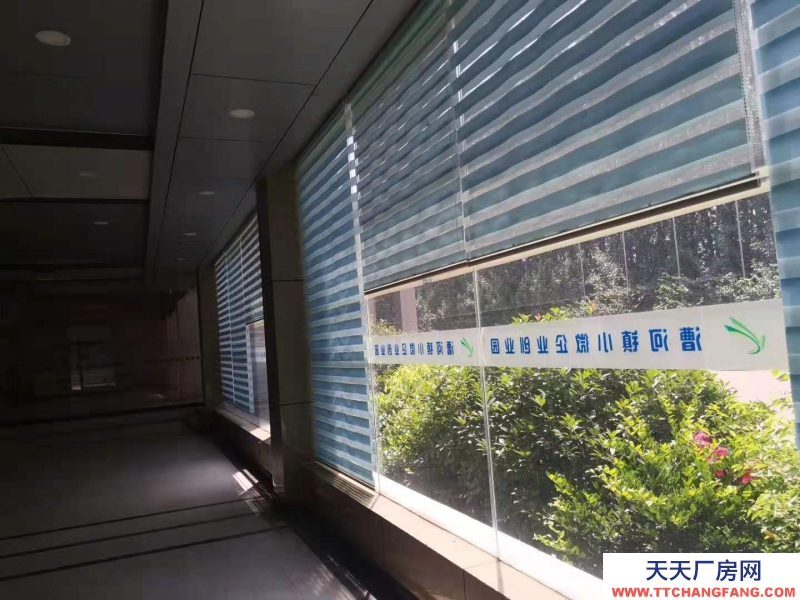 濟寧出租兗州創業園區漕河標準廠房4500平