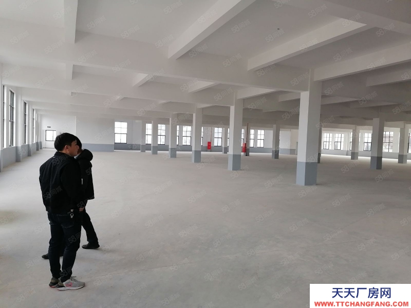 寧波奉化(出租) 奉化可以新料造粒，橡膠，噴塑，水性油漆的廠房對外出租。