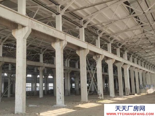 常州溧陽純單層！帶行車！天然氣！蒸汽！可做熔鋁，壓鑄，噴涂等行業