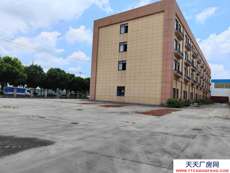 寧波奉化(出售) 出售奉化莼湖商業用房11畝，7000平方，售3300萬稅各交