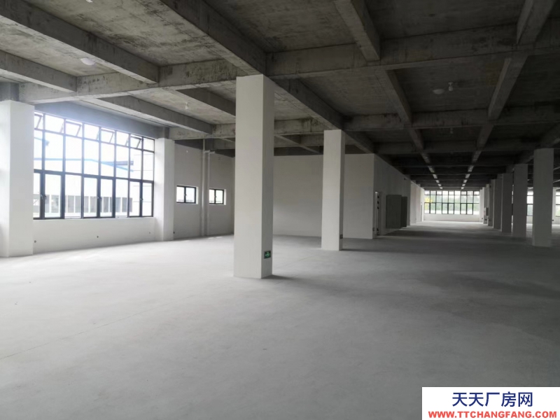 全新框架結構，獨棟新廠房，形象氣質佳，970-5000平，贈送20%面積