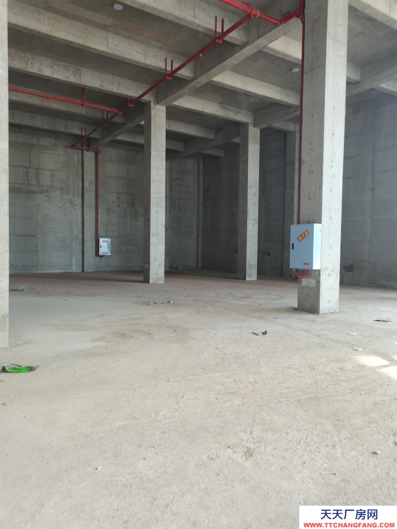 蔡家現房標準廠房/輕軌近公交旁物流園旁/買來即可用