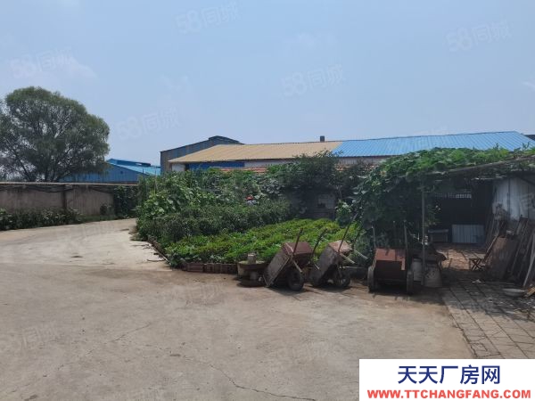 臨沂羅莊區付莊鎮帶院廠房出租