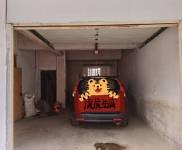 (出租) 隨州廣水位于北門黨校對面，交通便利，停車方便