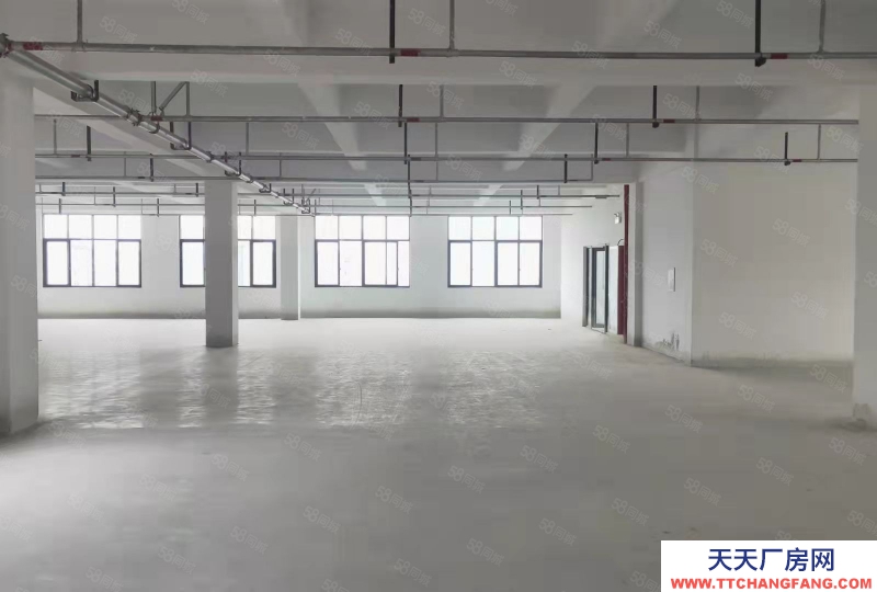 溫州龍灣(出租) 出租海工大道一樓1200平方，高8米，價36，獨門獨院，，，