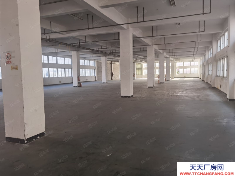 溫州龍灣(出租) 濱海三路標(biāo)準(zhǔn)廠房出租樓上1300平高度4.8米價(jià)院大好停車