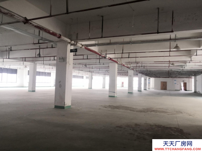 童裝廠房3500平方出租生產加工服裝行業湖州織里